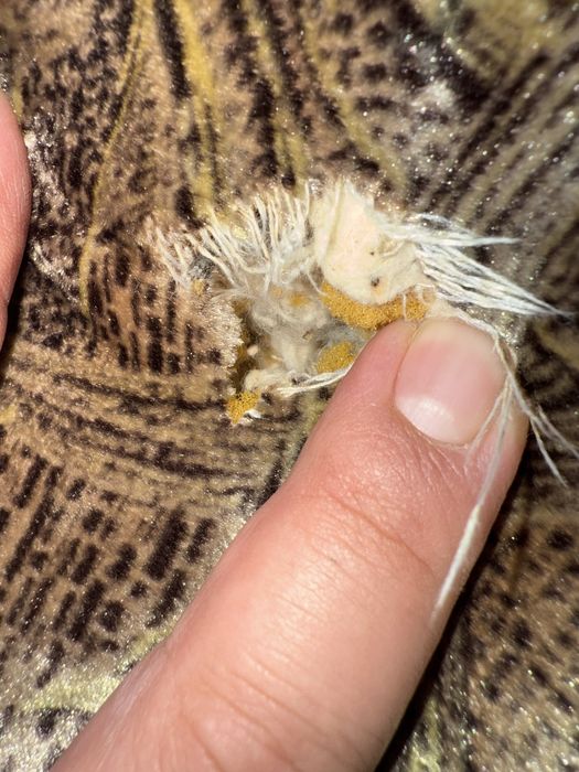 Диван продам с двумя креслами