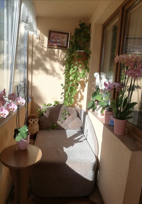 Vând apartamente 3 camere, zona Făget