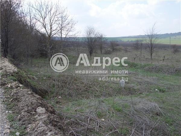 Продава се Парцел в Разград, Промишлена зона - Изток - 7 кв.м за 36715 €/кв.м - Снимка #6