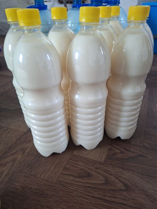 Қымыз сатылады. Продам Кымыз
