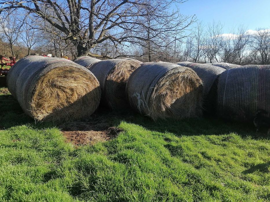 Ролонни бали сено