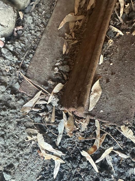 Продам железные уголки