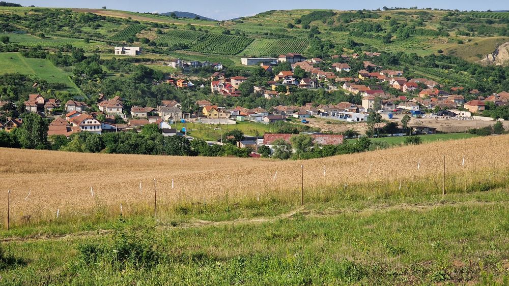 Teren  INTRAVILAN  ,705mp,16 m desch la strada,PANORAMIC