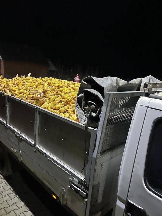 Porumb stiulet sau boabe transport inclus