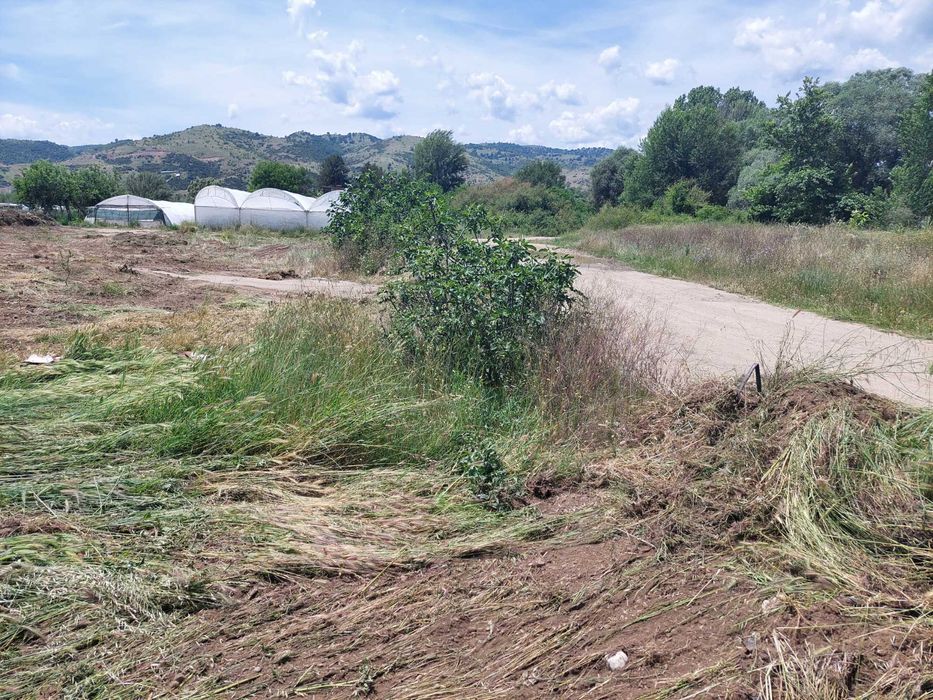 Дава се под наем Парцел в Сандански - 2500 кв.м за 800 € - Снимка #13