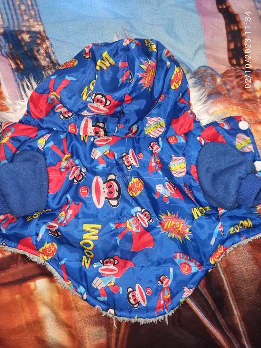 Аксесоари за  малко куче и  1 бр - яке и гащеризон