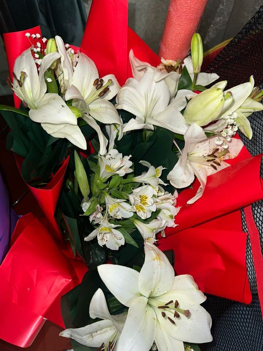 Гулдер цветы арзан багада