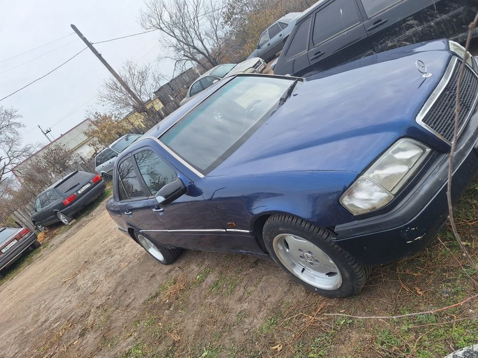 R16 amg черепахи