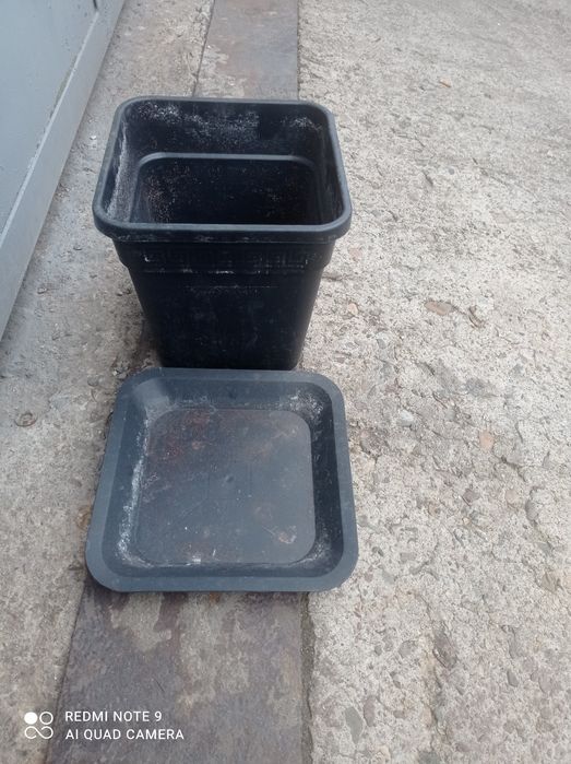 Саксии работни с подложки