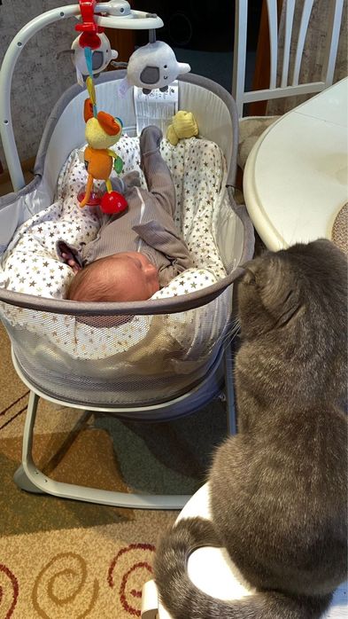 Кроватка шезлонг 3в1