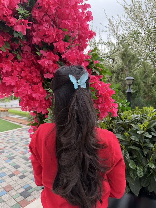 Заколки Бабочки