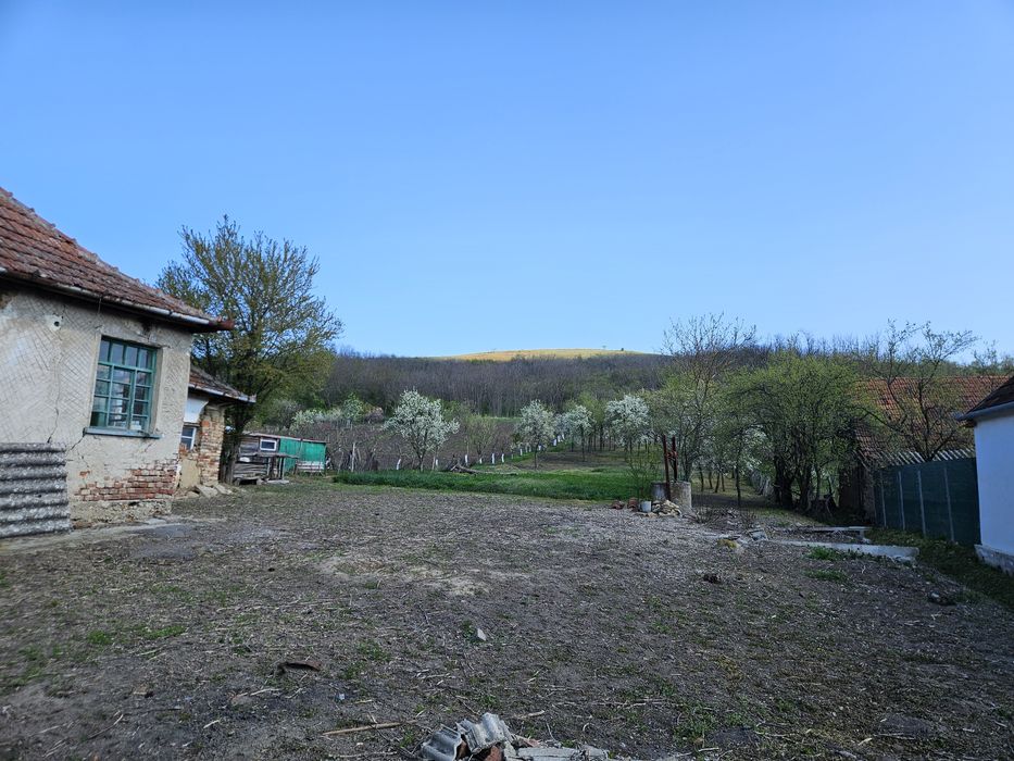 Casa cu teren de vanzare