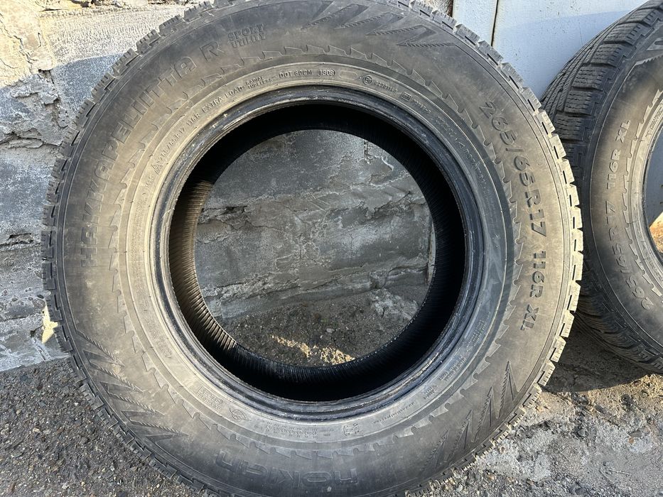 Липа nokian hakkapeliitta