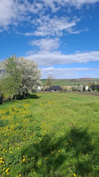 Teren intravilan 1800 mp, Pocoleni (Rădășeni) - formă dreptunghiulară, posibilitate parcelare