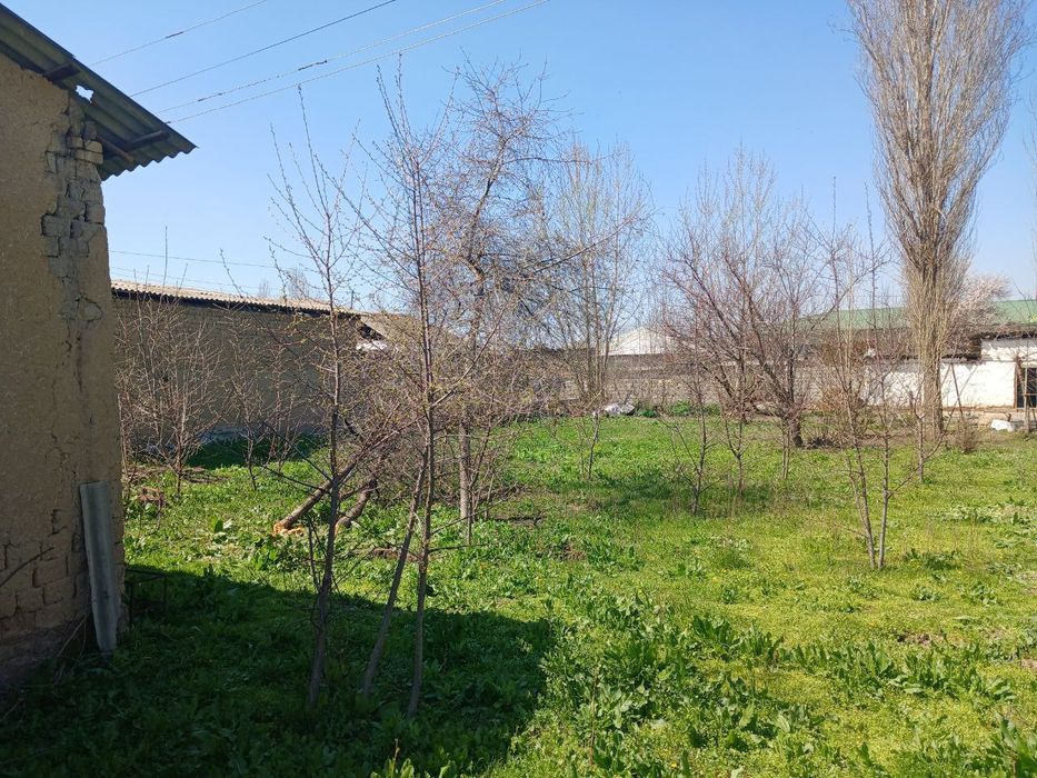 yer sotiladi 13 sotix