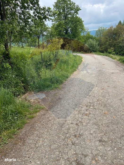 Teren 2,000mp Copalnic-Manastur / Strada Principala