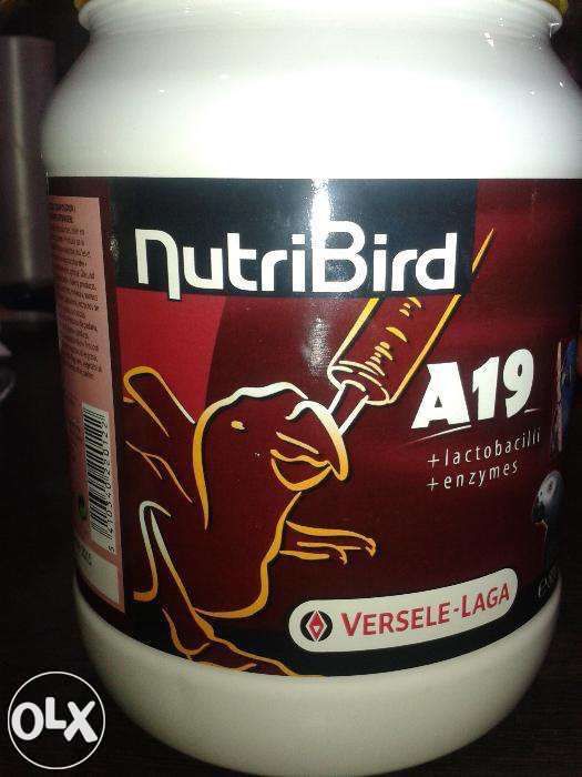 Каша для вскармливания птенцов попугаев