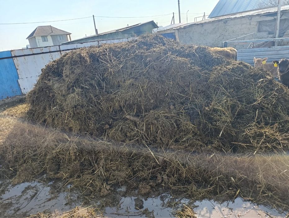 Завоз  бесплатно