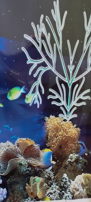 Фоны для аквариума, террариума.