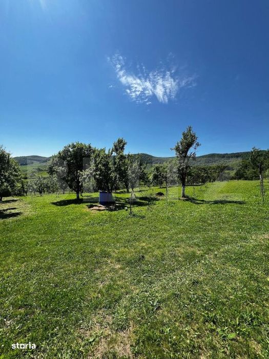 Livada in Arcalia, langa padure - 4.000 mp