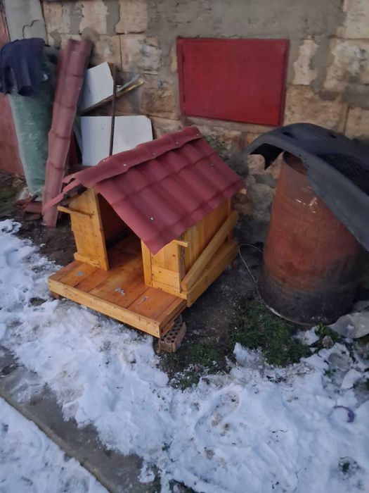 Кучешка колиба дърво Бор