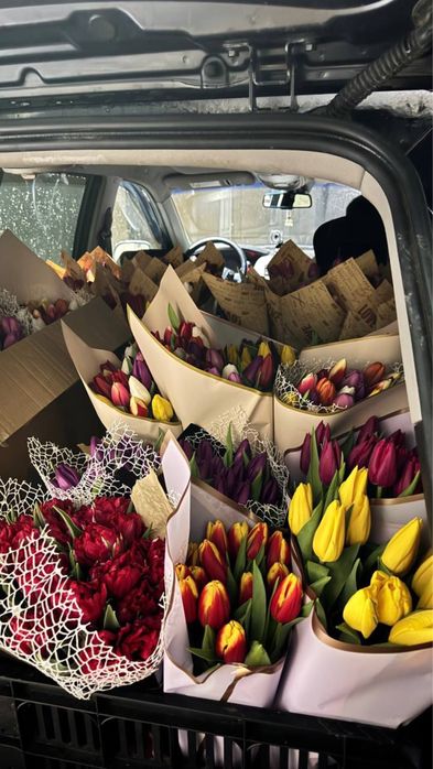 Тюльпаны оптом и в розницу