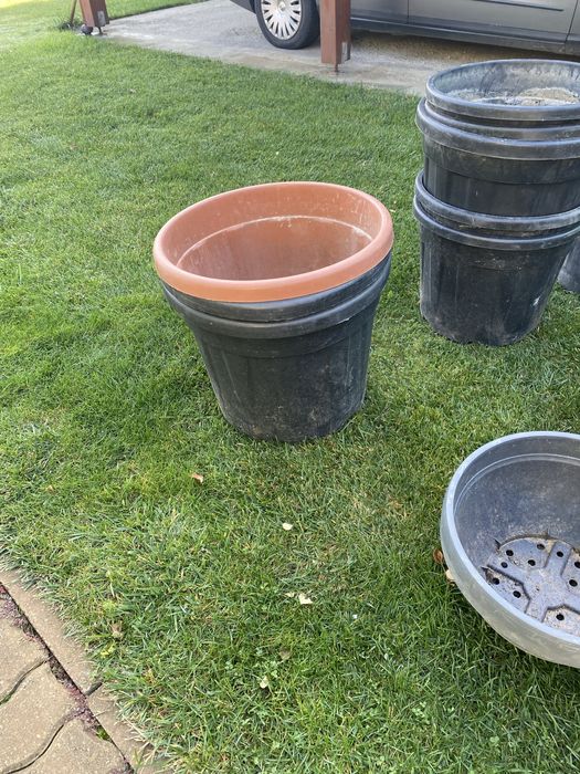 Ghivece second gand pentru   flori,pomi,arbusti