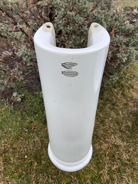 Раковина тюльпан