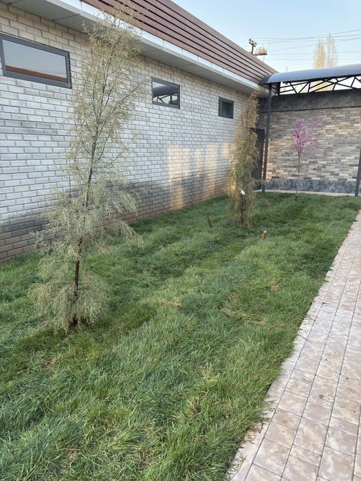 Газон готовый рулон оптом нархда