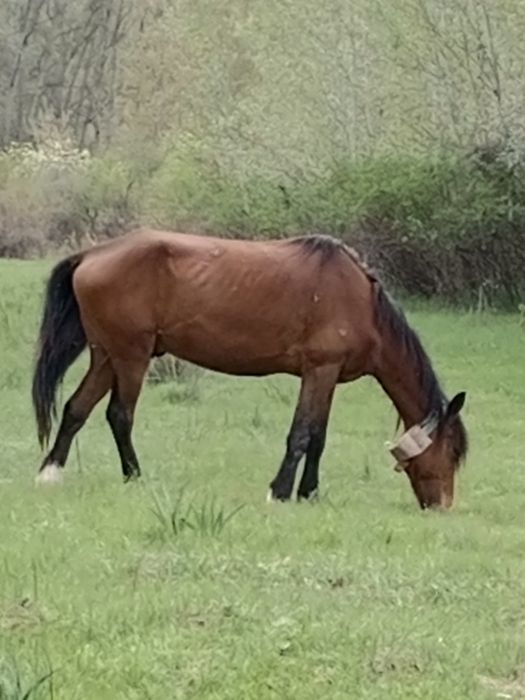 3жасар донен шыгар