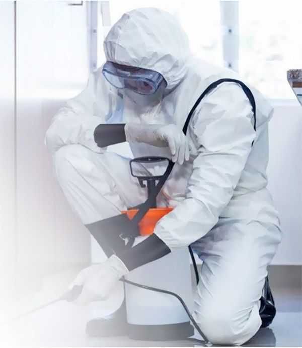 Лучшая цена в городе дезинфекция дезинсекция dezinfeksiya klapa taraka