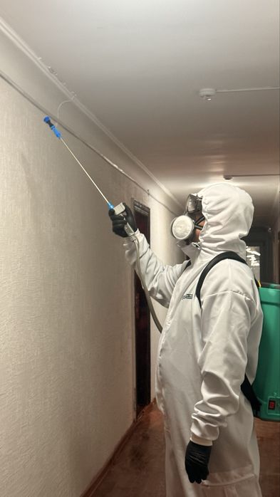 СЭС Семей служба дез услуг