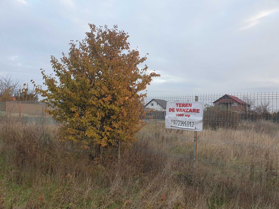 Teren de vânzare intravilan în Brăneşti