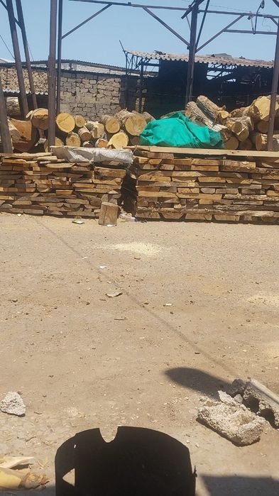 Quru tahtala yongo chinoriki