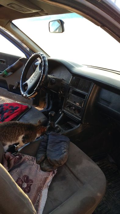 налок салынган тех жок