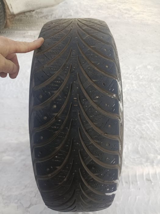 Зимние покрышки sava