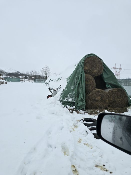 Vand baloti lucerna 120x120