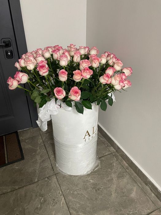 Букеты Бүгін келген