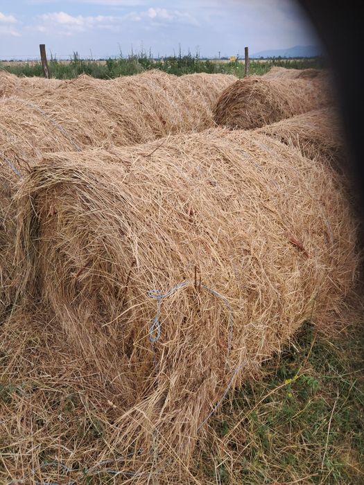 Vând baloți fân 120-120 și baloți paie