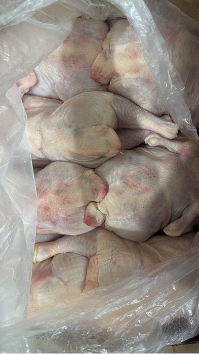 Мясо курицы оптом