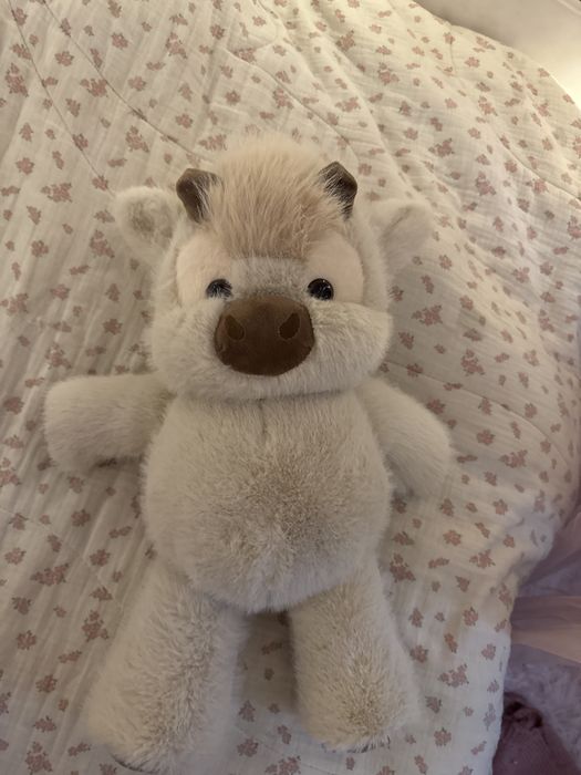 Теленок  очень милый бегаюший