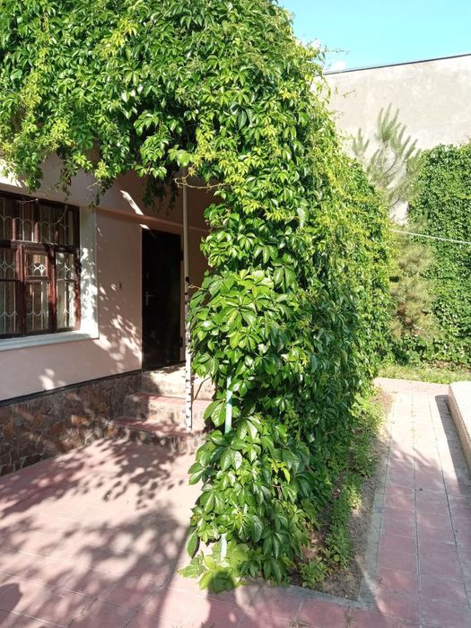 Дача сотилади Чорвоқда (Қапалда)