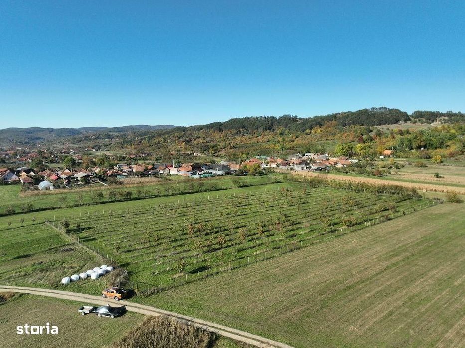 RECO, Teren cu livada de ciresi, Zona Auseu, Bihor
