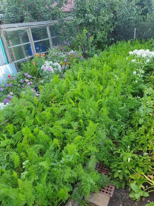 Продам дачу Химик верх