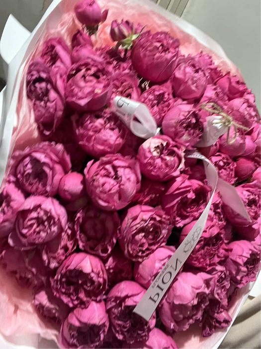 Свежий гүл пионы