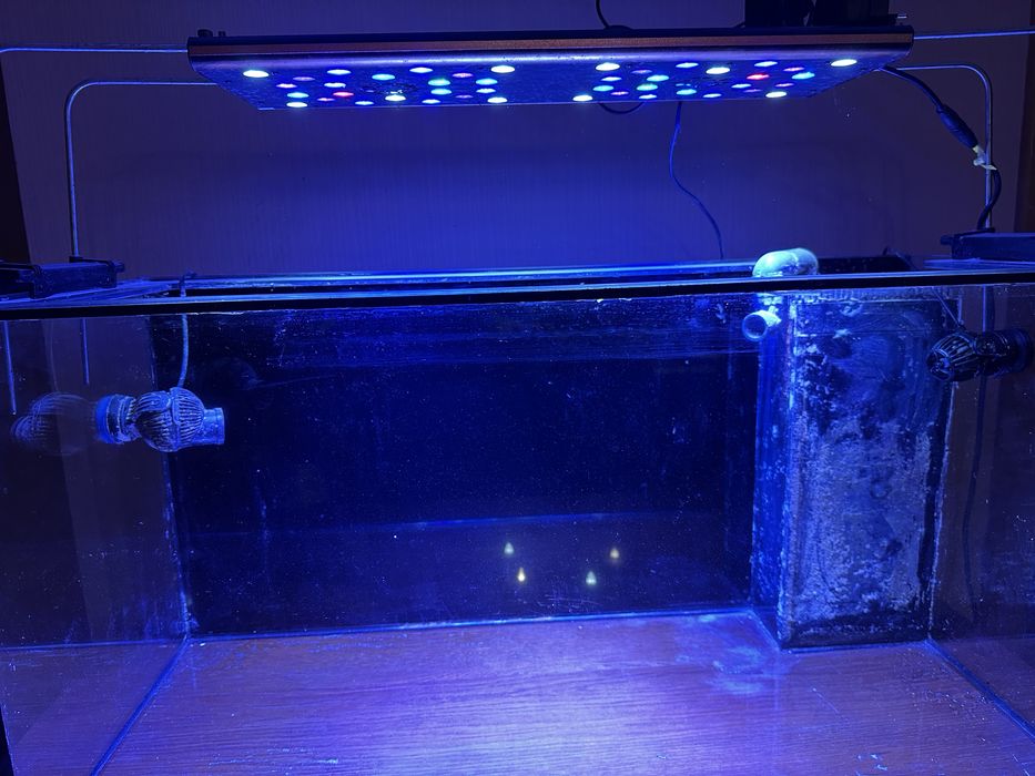 Vand Lampa led Evergrow AquaOcean IT 5060