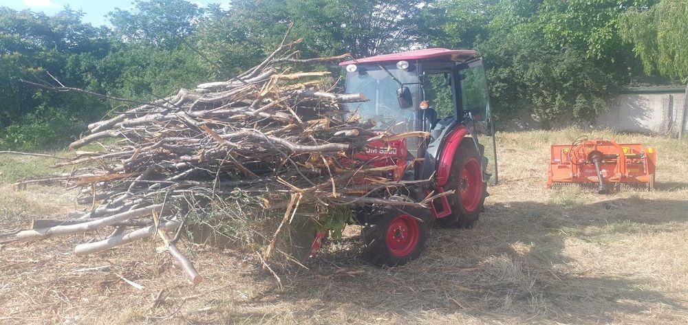Salubrizare si igienizare terenuri si curti, intretinere