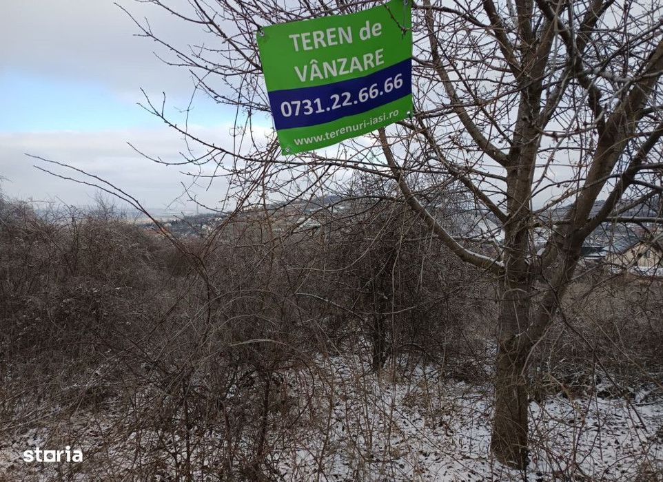 Teren intravilan Tomesti , 11000 metri Cod:161403