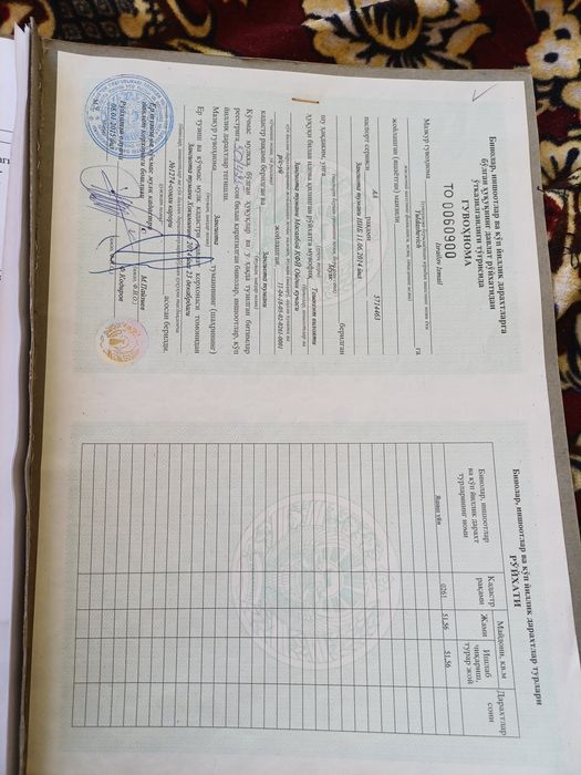 Келес беш кургон 1.5сутих