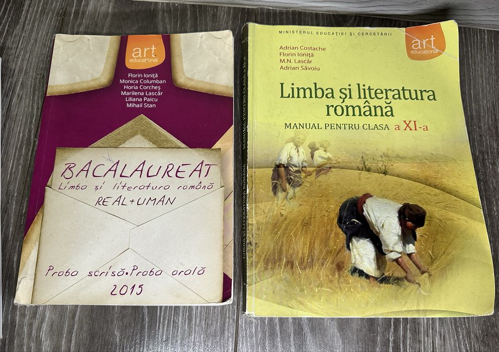 Caiete de lucru liceu